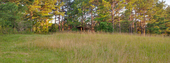 This is
                                                          what the deer
                                                          could see...
                                                          as of July 2