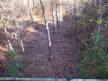 Hunt #5