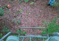 View
                      from tree stand, September 30, 2014