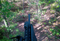 View
                      from tree stand, opening day, October 18, 2014