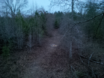 Hunt #7