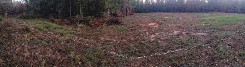 Spraying doe
          estrous in my target area...