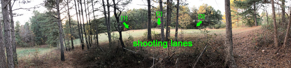 panoramic view
                              outside the front of the permanent blind