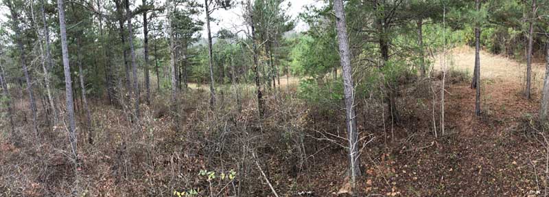 doe path