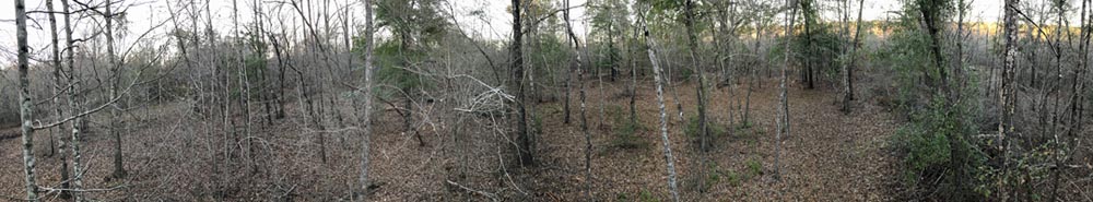 panoramic view from stand in the Honey Hole