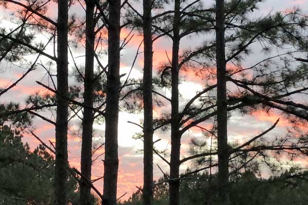 What a sunset!