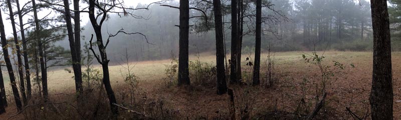 soupy fog