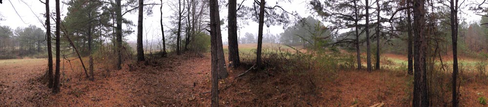 fog rolling in as seen from behind the blind