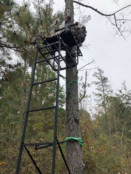 Second
                    time hunting this tree stand!