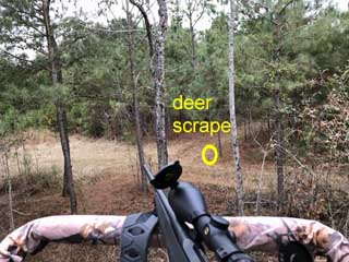 trail
                    trail and NW passage crossroads
