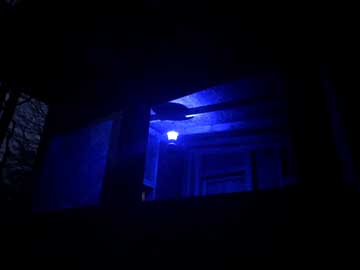 blue light lantern at close
                                      of January 14, 2019