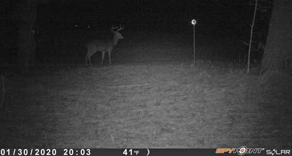 This guy comes
                                                          back every few
                                                          days...