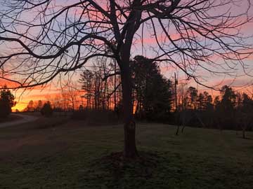 looking
                                                          towards east
                                                          at about 6:20
                                                          a.m.
