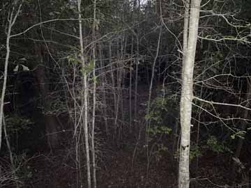 beginning of my eighth season