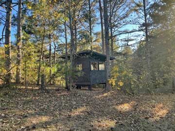 permanent blind on opening weekend