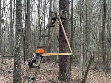 about to hunt
              this classic wooden stand for first time