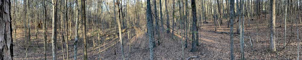 panoramic view from stand towards west at 9:15 a.m.