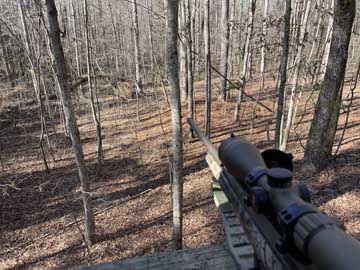 ready for
              afternoon hunt