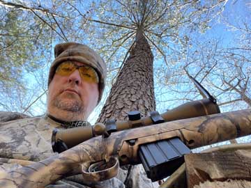 ready for
              afternoon hunt - cool vertical view of tree