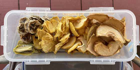 dried kiwi,
          green banana, pineapple, opal apples, and fuji apples